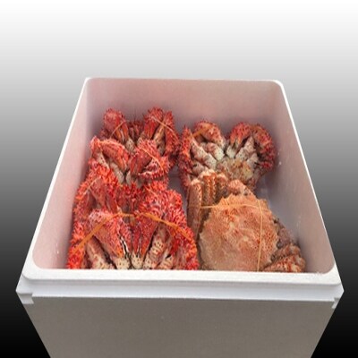 【12/31決済分まで1月配送】毛かに・花咲かにセット D-30035