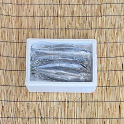 【12/31決済分まで1月配送】【北海道根室産】冷凍さんま5尾×4P(計20尾) A-76001