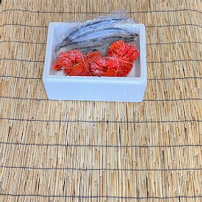 【12/31決済分まで1月配送】【北海道根室産】花咲かに2尾・冷凍さんま5尾 A-76002