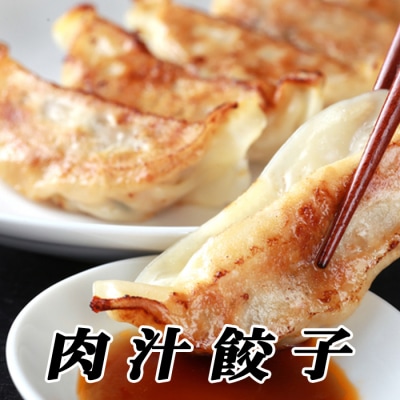 【12/31決済分まで1月配送】餃子25個×3P B-76026