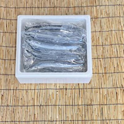 【12/31決済分まで1月配送】【北海道根室産】冷凍さんま5尾×12P(計60尾) D-76001