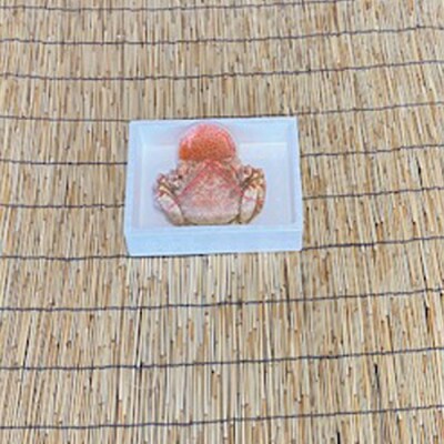 【12/31決済分まで1月配送】毛かに400g～550g前後×1尾・いくら100g C-76035