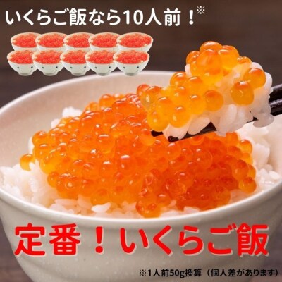 【12/31決済分まで1月配送】【北海道根室産】いくら醤油漬け100g×5P B-83004