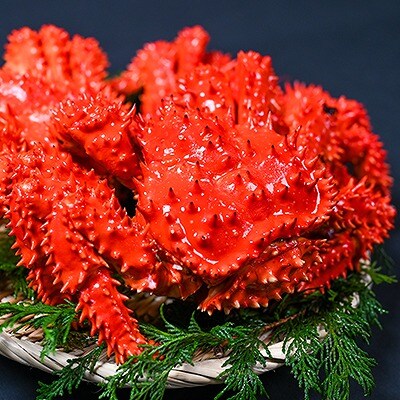 【12/31決済分まで1月配送】【北海道根室産】花咲がに500g前後×2尾セット B-80004