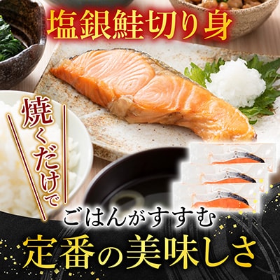 【12/31決済分まで1月配送】トラウトサーモン1～2本&塩銀鮭切り身1切×10P A-09122