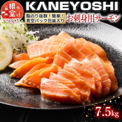 【12/31決済分まで1月配送】お刺身トラウトサーモン15～30本(計7.5kg) E-09001