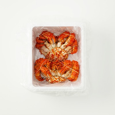 【12/31決済分まで1月配送】【北海道根室産】花咲かに500g前後×2尾 A-19010