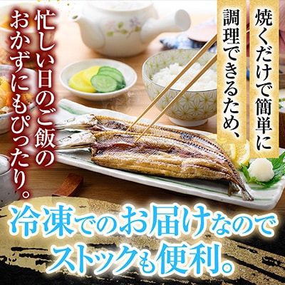 【12/31決済分まで1月配送】【北海道根室産】秋刀魚尽くし A-54014