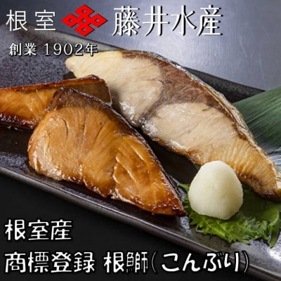 【12/31決済分まで1月配送】【北海道根室産】天然根鰤(こんぶり)切身セット A-42124