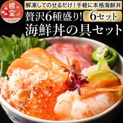 【12/31決済分まで1月配送】海鮮丼の具(6種盛り)×6セット B-10008