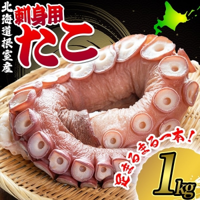 【12/31決済分まで1月配送】【北海道根室産】たこ足刺身用1本(1kg以上) A-80003
