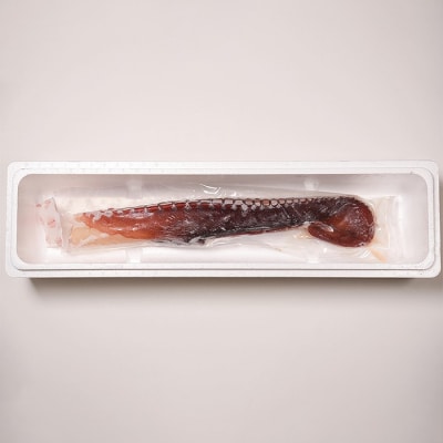 【12/31決済分まで1月配送】【北海道根室産】たこ足刺身用1本(1kg以上) A-80003