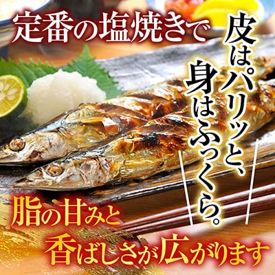 【12/31決済分まで1月配送】【北海道根室産】冷凍生さんま5尾×2P G-70001