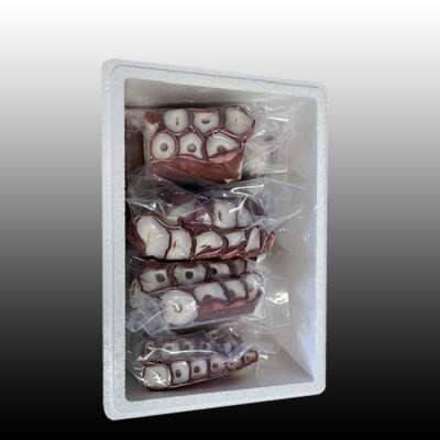 【12/31決済分まで1月配送】★たこ足7～11P(計2kg～2.5kg前後) C-30077