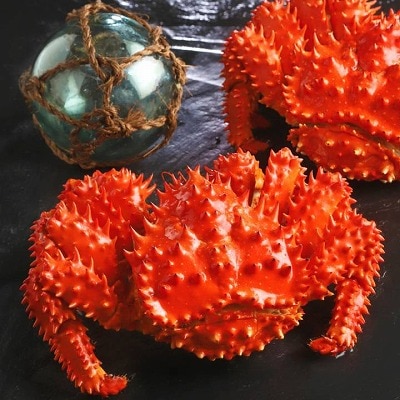 【12/31決済分まで1月配送】【北海道根室産】ボイル花咲がに2尾(計約700g) G-42010