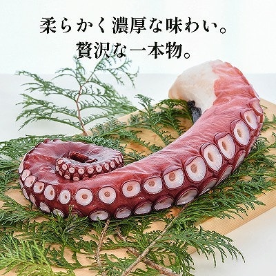 【12/31決済分まで1月配送】【北海道根室産】ボイル水たこ足1本(1kg) A-20007