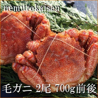 【12/31決済分まで1月配送】【北海道根室産】毛がに2尾(計700g前後) C-57056