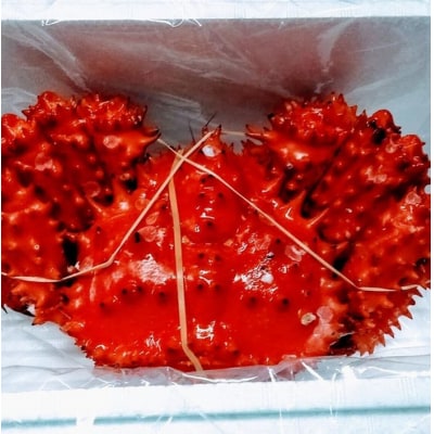 【12/31決済分まで1月配送】【北海道根室産】花咲ガニ2kg前後 E-57003