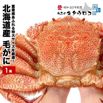 【12/31決済分まで1月配送】毛がに800g～1kg C-25025