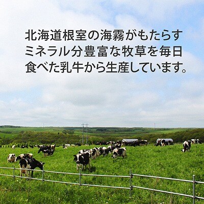 【12/31決済分まで1月配送】★低温殺菌牛乳800ml×4本 A-13025