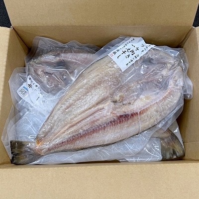 【12/31決済分まで1月配送】【北海道根室産】真ほっけ一夜干し1枚×3P G-50005