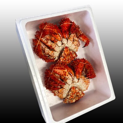 【12/31決済分まで1月配送】★花咲かに400g前後～600g前後×2尾 A-30030