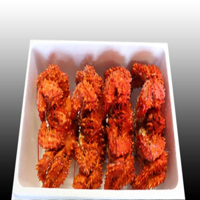 【12/31決済分まで1月配送】★花咲かに400g前後～500g前後×4尾 C-30031