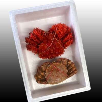 【12/31決済分まで1月配送】毛かに400～550g・花咲500～650g前後 C-30071