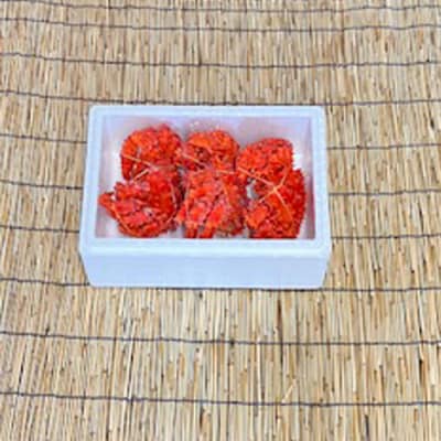 【12/31決済分まで1月配送】★花咲かに400g～550g前後×3尾 B-76030