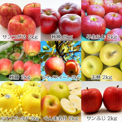 【2026年発送】【定期便9回】「秀品」りんご2kg×9種_H219(R8)