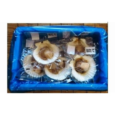 【12/31決済分まで1月配送】ほたて、ほっき貝、かき、青ツブ、あさり A-04004