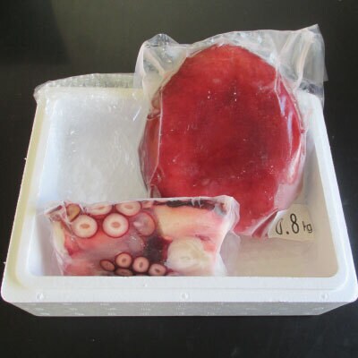 【12/31決済分まで1月配送】【北海道根室産】ボイルたこ足(ぶつ切り)・頭セット A-19013