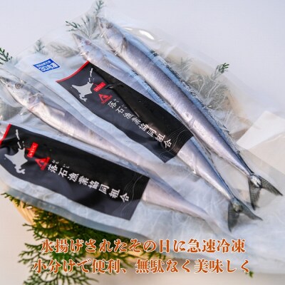 【12/31決済分まで1月配送】【北海道根室産】冷凍生さんま2尾×5P G-20006