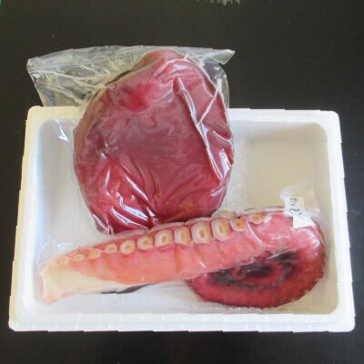 【12/31決済分まで1月配送】★真たこ足1～1.3kg・たこ頭1.5～1.9kg F-19002