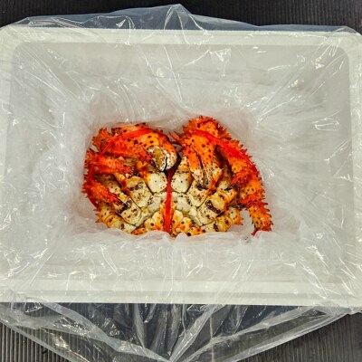 【12/31決済分まで1月配送】★ボイル冷凍花咲ガニ姿800g前後×1尾 C-66024