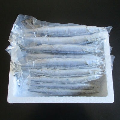 【12/31決済分まで1月配送】★冷凍生さんま500g×4P(計2kg) A-19016