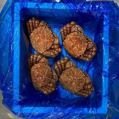 【12/31決済分まで1月配送】毛がに800g前後×4尾 E-21003