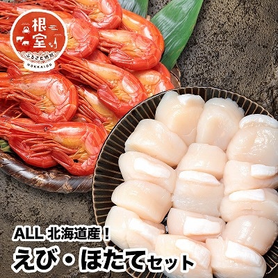 【12/31決済分まで1月配送】シマエビ400g・ほたて500gセット B-24018