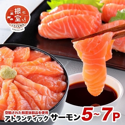 【12/31決済分まで1月配送】【生食可】アトランティックサーモン5～7P B-24021