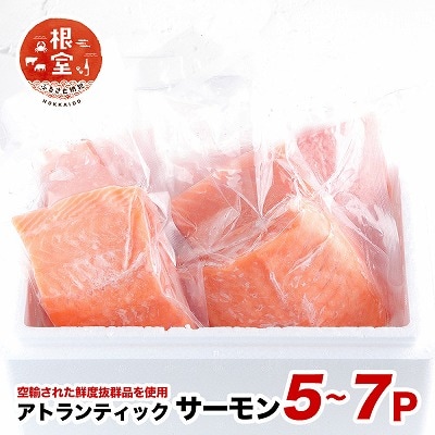 【12/31決済分まで1月配送】【生食可】アトランティックサーモン5～7P B-24021