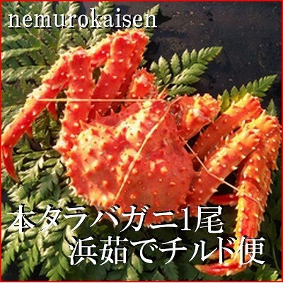 【12/31決済分まで1月配送】★(チルド便)本タラバガニ900g前後 D-57050