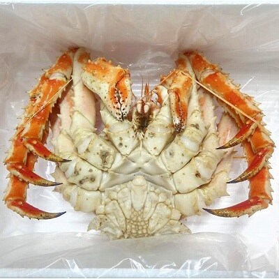 【12/31決済分まで1月配送】★(チルド便)本タラバガニ900g前後 D-57050