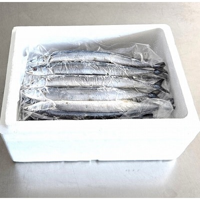【12/31決済分まで1月配送】★冷凍生サンマ20尾(真空パック5尾入×4P) A-40019