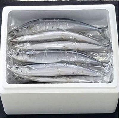 【12/31決済分まで1月配送】★冷凍生サンマ20尾(真空パック5尾入×4P) A-71050