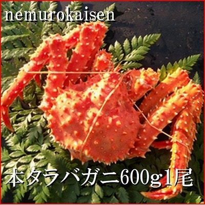 【12/31決済分まで1月配送】【北海道根室産】本タラバガニ600g前後×1尾 B-57029