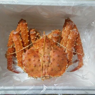 【12/31決済分まで1月配送】【北海道根室産】本タラバガニ600g前後×1尾 B-57029