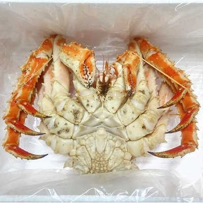 【12/31決済分まで1月配送】【北海道根室産】本タラバガニ700g前後 C-57060