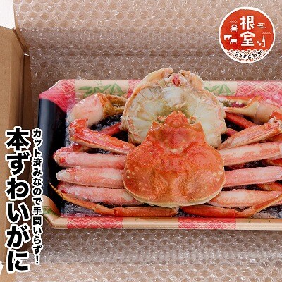 【12/31決済分まで1月配送】カット済みずわいがに姿500g～550g前後×1尾 G-58002