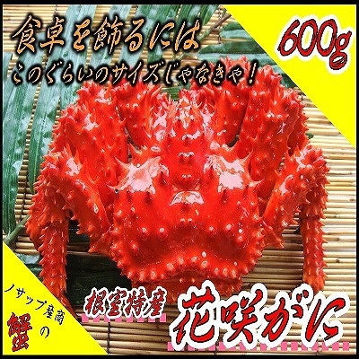 【12/31決済分まで1月配送】【北海道根室産】ボイル冷凍花咲がに600g×1尾 A-59019