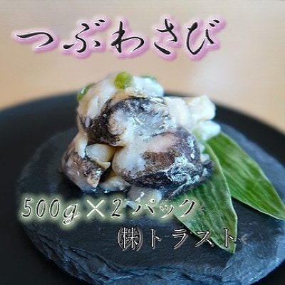 【12/31決済分まで1月配送】【北海道根室産】つぶわさび500g×2P A-46002